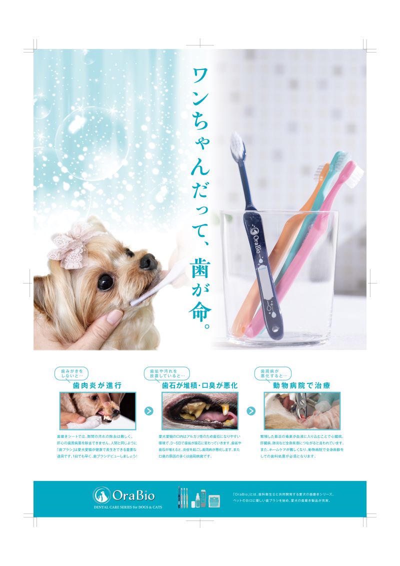 ワンちゃん用歯ブラシ啓蒙ポスター