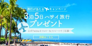 ＜おすすめポイント＞
・文字色は白色を主に使い、背景のハワイ画像が中心になるようにしています。
・飛行機をアイコンで挿入することで、「旅行」というワードが浮かび上がるようにしています。
・応募条件を載せて、その下にすぐ詳細ボタンを置くことで、クリック誘導できるようにしています。