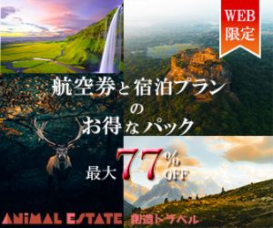 （使用する文章）
「航空券と宿泊プランのお得なパック」
または
「航空券＋ホテルがセットでお得」

会社のロゴを使用すること

（その他情報）
最大77%お得になるプラン
会社名：創造トラベル
ネット予約限定でお得な格安プランを多数販売する旅行会社

サイズ：336px×280px

以上を条件に制作しております。