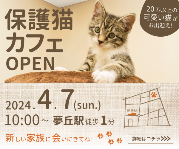 保護猫カフェバナー