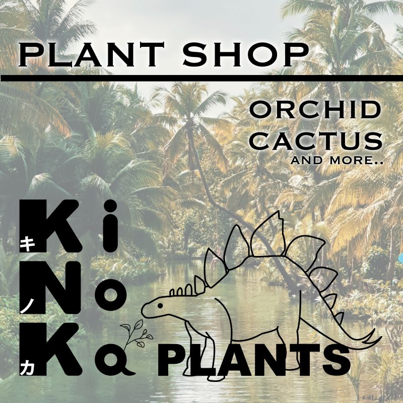 SNS用店舗PRバナー